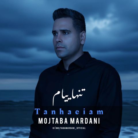 دانلود آهنگ مجتبی مردانی به نام تنهاییام